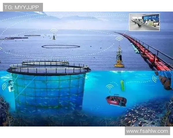 esports最新数据重磅专题WE的控制革新探索与实践:引领未来科技发展的新方向